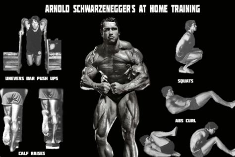 The 8 Best Arnold Schwarzenegger at Home Training, Tips & Benefits