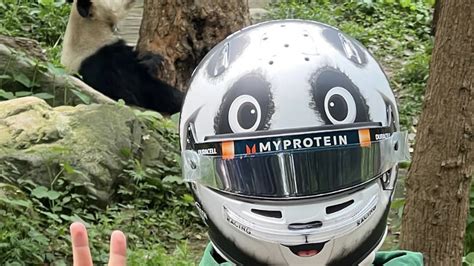 Alex Albon unveils fantastic panda-themed helmet for F1 Chinese Grand Prix