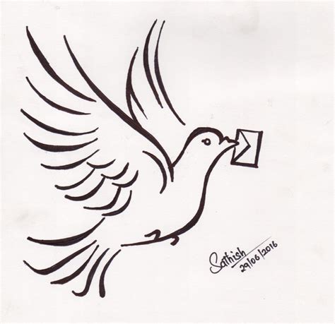 Pigeon Art Sketch | PeepsBurgh.Com