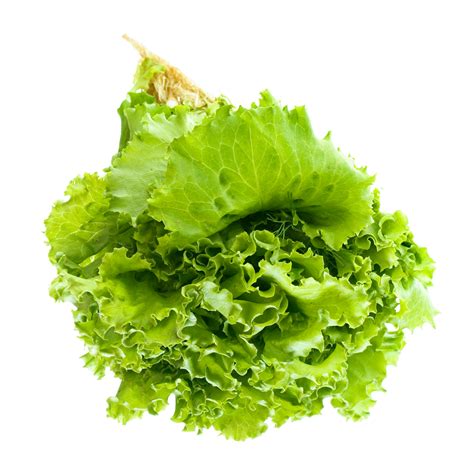 Salad PNG Transparent Image