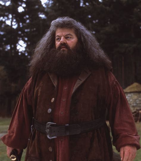 Hagrid Actor Robbie Coltrane Confined To A Wheelchair After Years Of "Constant Pain"