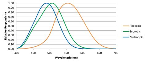 Entraining Circadian Rhythms – Fig. 2 | Lighting Analysts