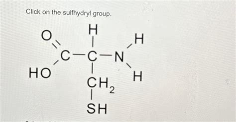 Solved Click on the sulfhydryl group. | Chegg.com