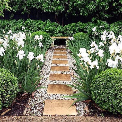 22 Iris Garden Design Ideas You Cannot Miss | SharonSable