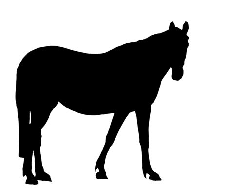 Black Horse Silhouette Clipart Free Stock Photo - Public Domain Pictures