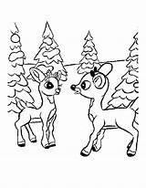 Baby Reindeer Coloring Page Pages sketch template
