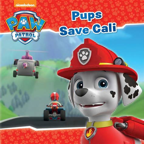 Nickelodeon Paw Patrol Pups Save Cali | BIG W