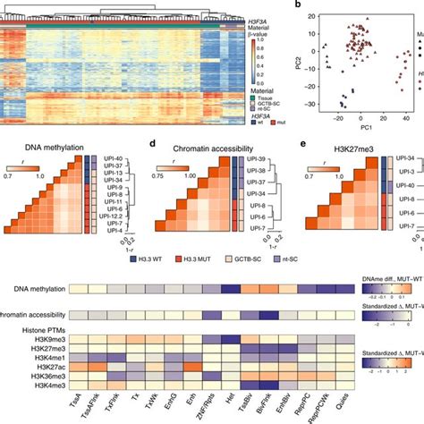 Heterochromatin defects in H3.3 MUT stromal cells a Binned scatterplot... | Download Scientific ...