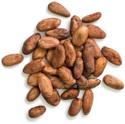 Organic Raw Criollo Cacao Beans, 400 g | Terra Elements