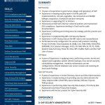 Senior Security Administrator CV Sample in 2024 - ResumeKraft