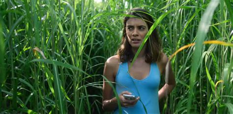 In the Tall Grass: The first trailer for Netflix's new horror film | SYFY WIRE