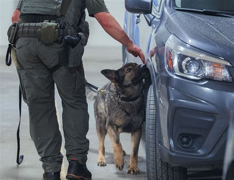 RCMP Police Dog Services thanks New Brunswick Residents | Royal ...