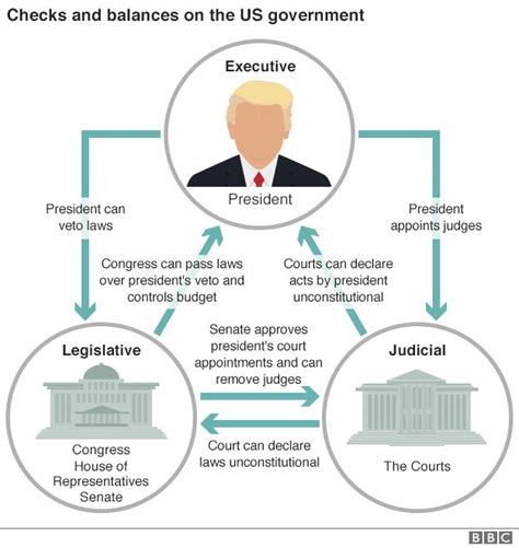 What section is checks and balances in the constitution