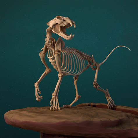 Lion Skeleton - ZBrushCentral