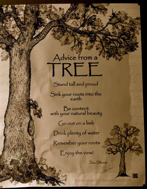 Tree Wisdom Quotes. QuotesGram