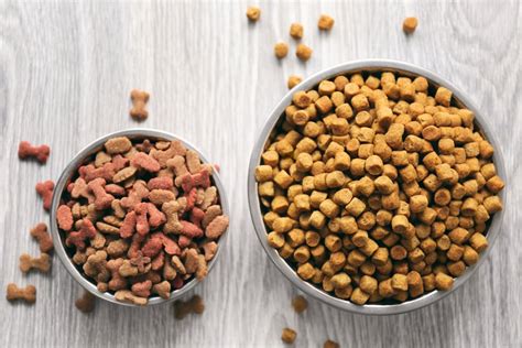 9 Best Dog Food Storage Containers [2024 ]: Keeping Fido's Kibble Fresh!