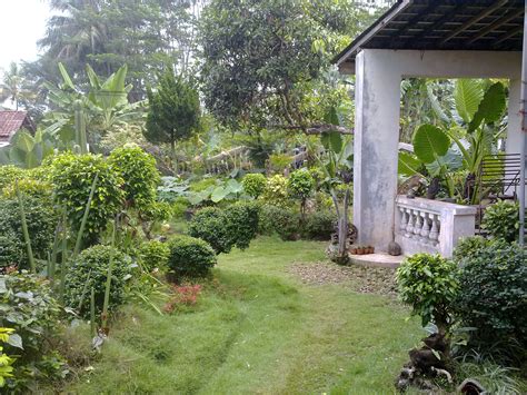 Desain Rumah Dengan Kebun – infoshopii