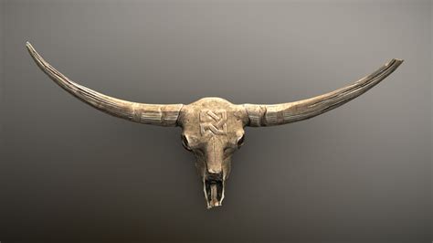 Bison Skull