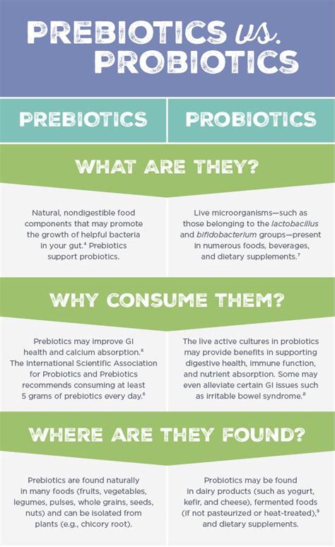 Promoting Digestive Wellness | Prebiotics and probiotics, Probiotics, Prebiotics