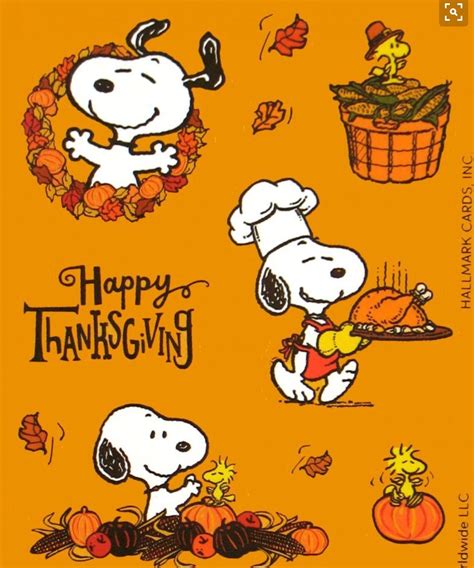 The Best Ideas for Thanksgiving Quotes Snoopy – Home, Family, Style and Art Ideas