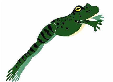 Free Frog Jumping Cliparts, Download Free Frog Jumping Cliparts png images, Free ClipArts on ...