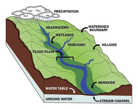 What is a Watershed? | Little Conestoga Watershed Alliance