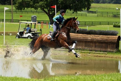 Cross Country Course Preparation - Majestic Oaks Ocala