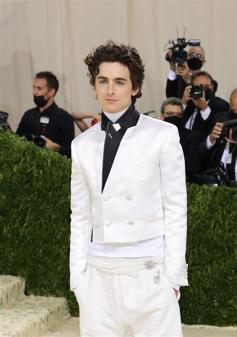 Timothée Chalamet, Rihanna, Billie Eilish and the 41 Best Looks of the ...