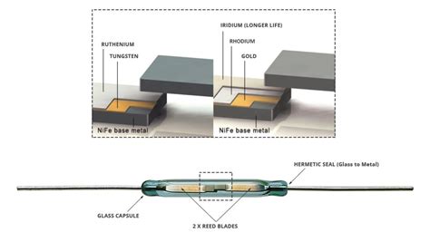 What is a Reed Switch and How Does it Work? | Standex Electronics