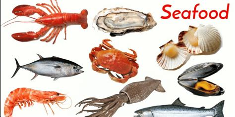 Types of Seafood: List of Seafood Names with Cool Pictures - English Saga