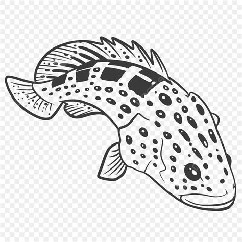 Grouper Fish Cartoon, Fish, Grouper Fish, Saltwater Fish PNG and Vector with Transparent ...