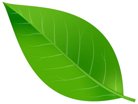 Spring Leaf Transparent PNG Clip Art Image | Gallery Yopriceville - High-Quality Free Images and ...