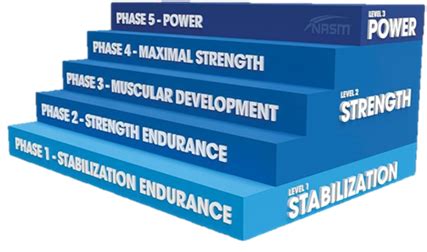 PERIODIZATION TRAINING SIMPLIFIED: YOUR GUIDE TO THE CYCLES AND PHASES ...