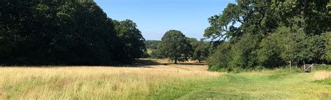 Hatchlands Park Perimeter Circular: 33 Reviews, Map - Surrey, England | AllTrails