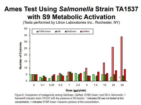 Ethidium Bromide: Swap or Not | UC Santa Barbara | Sustainability