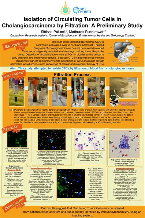 (PDF) ISOLATION OF CIRCULATING TUMOR CELLS IN CHOLANGIOCARCINOMA BY FILTRATION: A PRELIMINARY STUDY