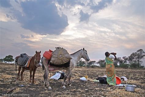 Forced Migration is the New Face of Climate Change - Greenpeace USA