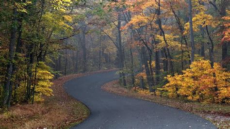 taking a bike ride on this road... oh the pleasures. | Brown county indiana, Nashville indiana ...