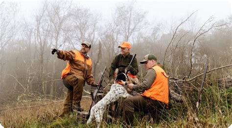 2023 WV Hunting Guide: Licenses, Seasons, and Regulations - WVDNR