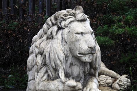 Lion Sculpture Free Stock Photo - Public Domain Pictures