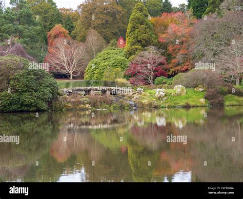 Autumn Trees in Sheffield Park Stock Photo - Alamy