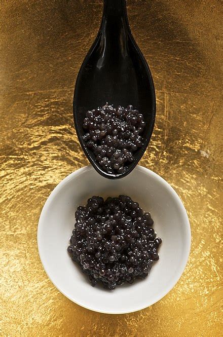 Caviar - Wikipedia