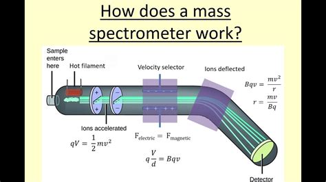 12.08 How does a mass spectrometer work? - YouTube