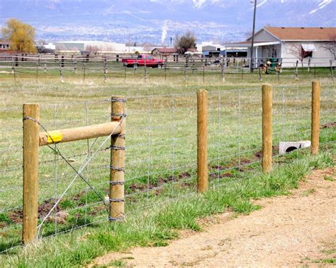 Barbwire & Razor Ribbon - Pinnacle Fencing