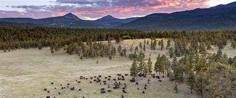 Vermejo Park Ranch | High Desert New Mexico Hotel | Hideaway Report