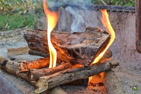 Make Your Own Fire Starter Logs for a One Match Fire