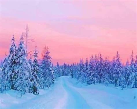 Winter Sunset Scene Paint By Numbers - Numeral Paint Kit