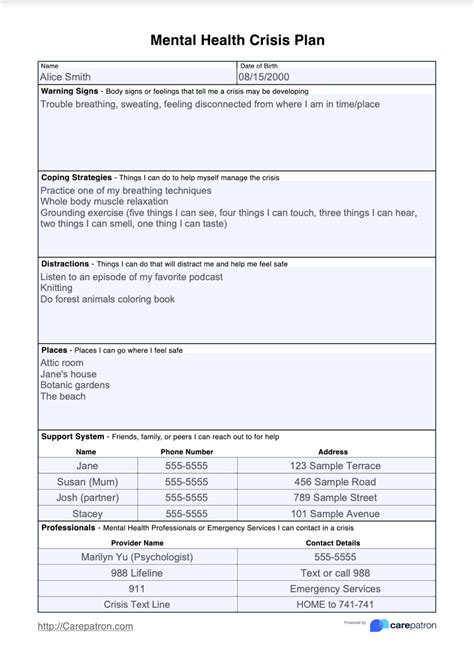 Mental Health Crisis Plan & Example | Free PDF Download