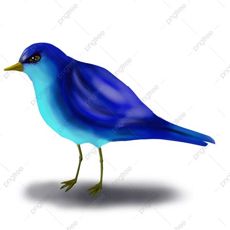 Cartoon Bird Clipart Vector, Cartoon Bird, Cartoon Clipart, Bird ...