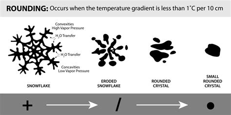 Avalanche.org » Snow metamorphism